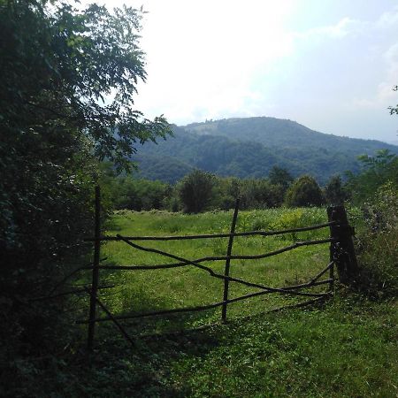 Guesthouse Smiljanic Slavkovica Exteriör bild