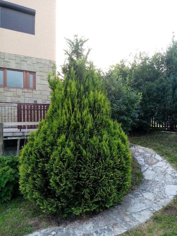Guesthouse Smiljanic Slavkovica Exteriör bild