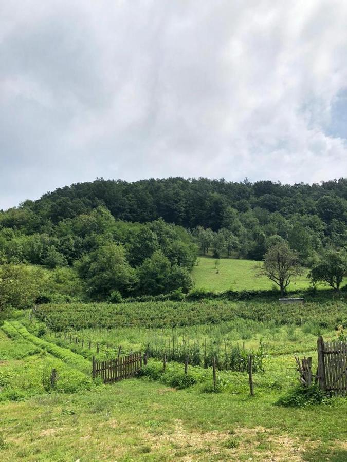 Guesthouse Smiljanic Slavkovica Exteriör bild
