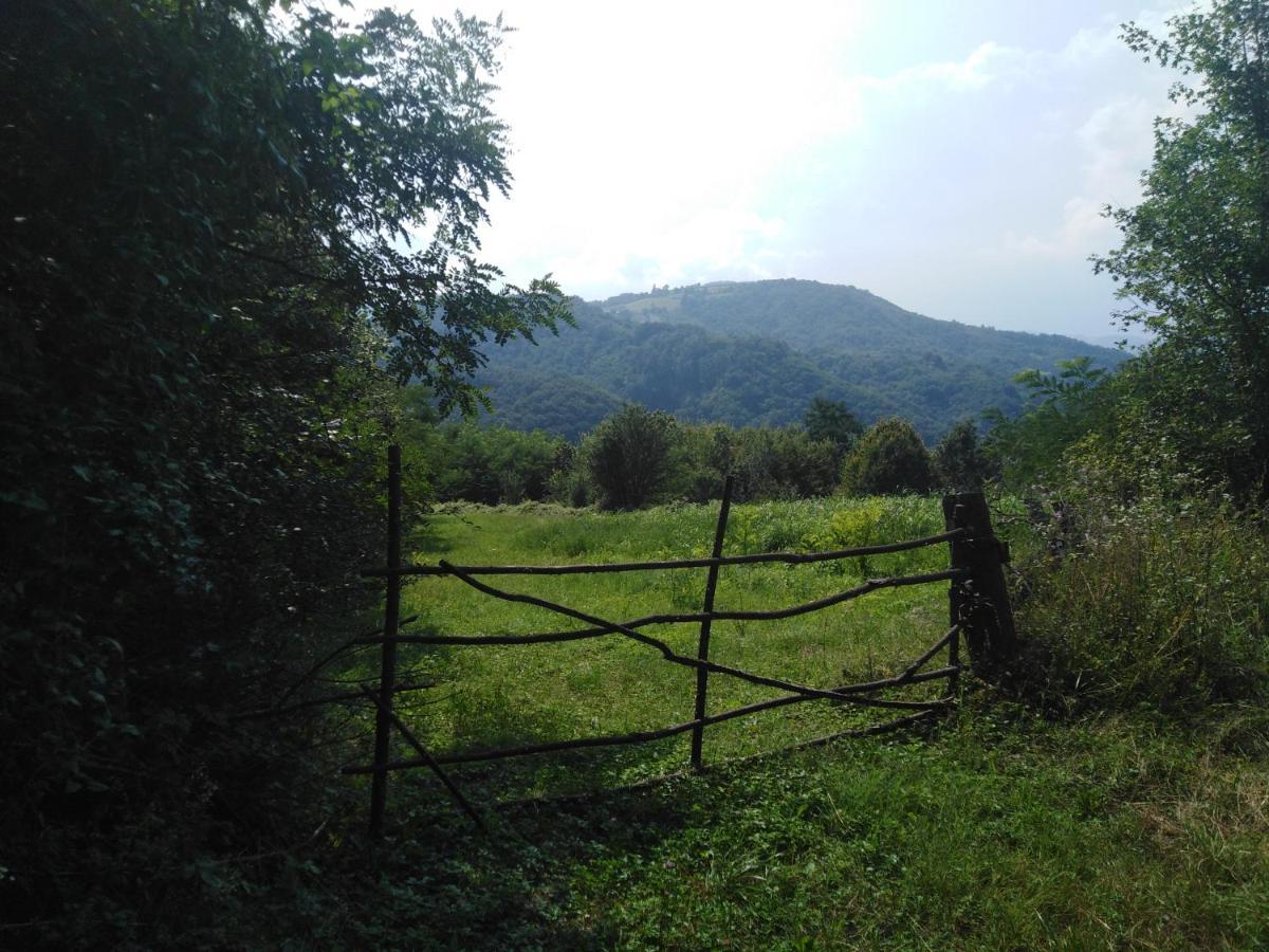 Guesthouse Smiljanic Slavkovica Exteriör bild