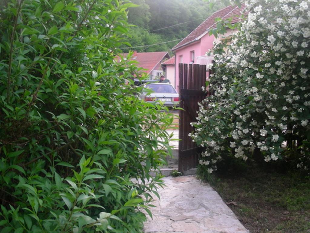 Guesthouse Smiljanic Slavkovica Exteriör bild