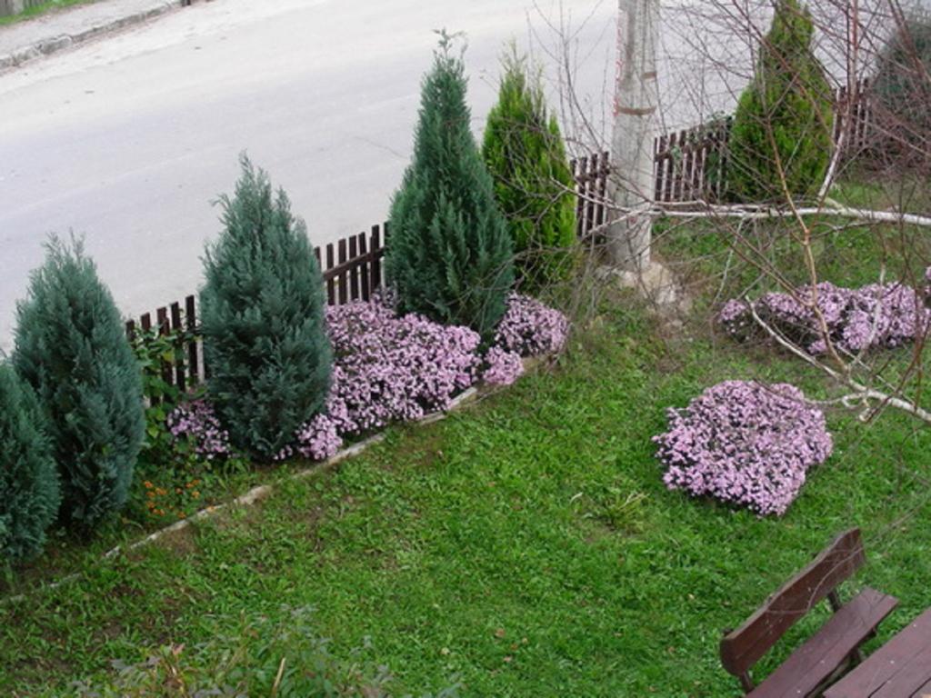 Guesthouse Smiljanic Slavkovica Exteriör bild