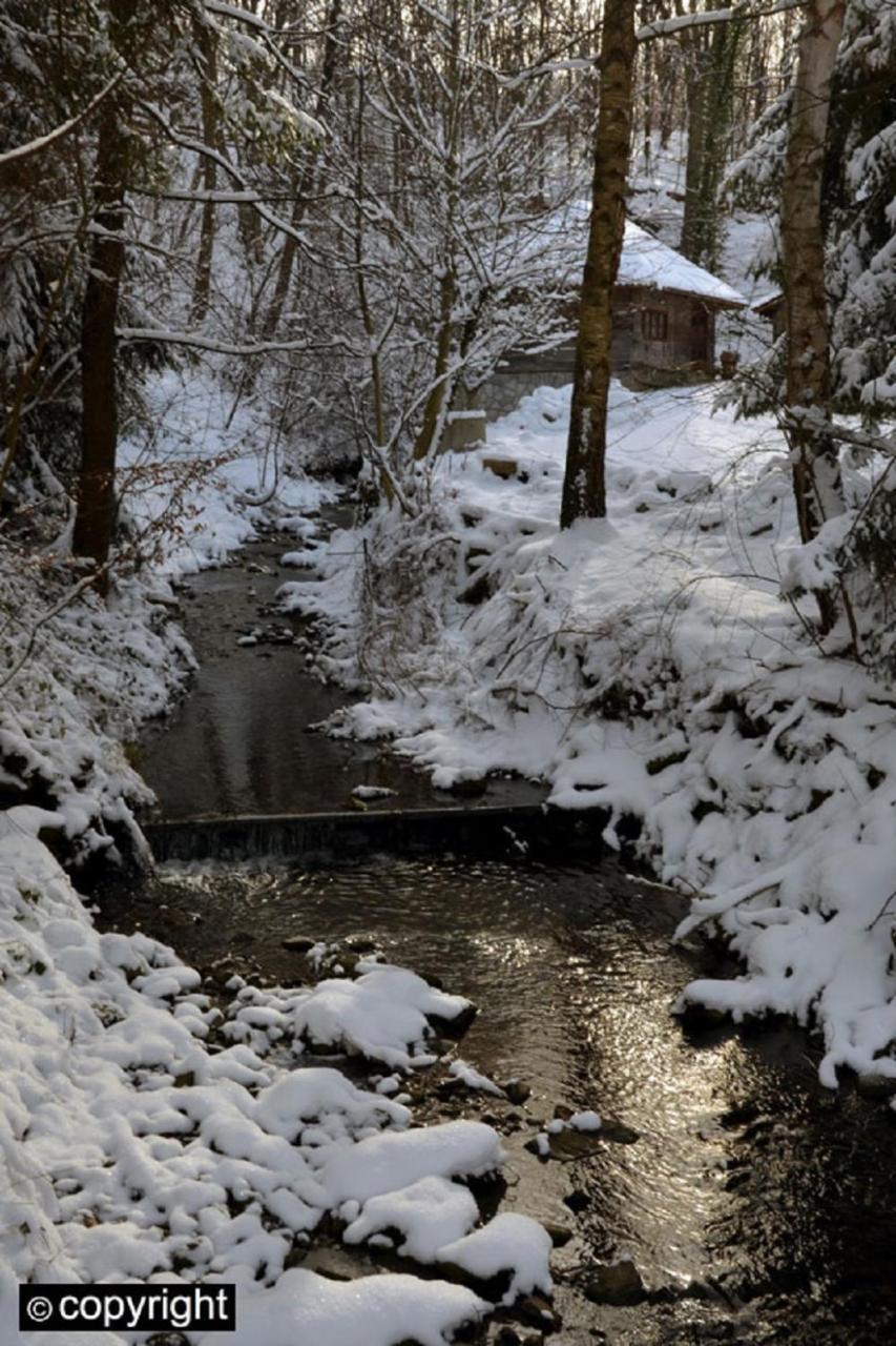 Guesthouse Smiljanic Slavkovica Exteriör bild