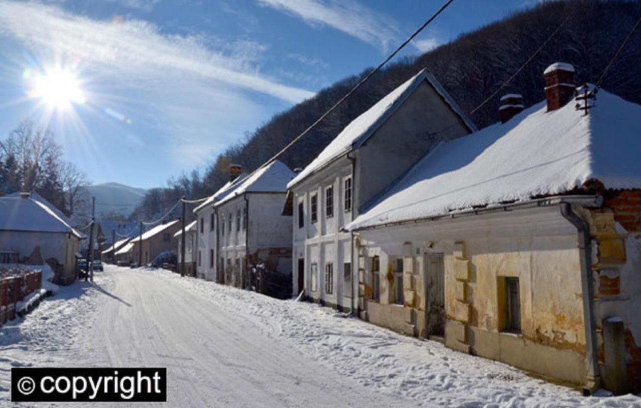 Guesthouse Smiljanic Slavkovica Exteriör bild